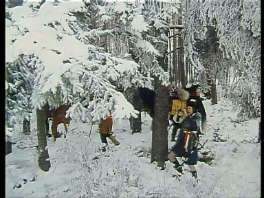 Die polnische Armee steckt im Schnee fest.