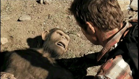 Das Ende unserer Zukunft?