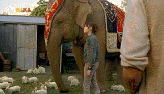 Alex bittet den Elefanten um Hilfe